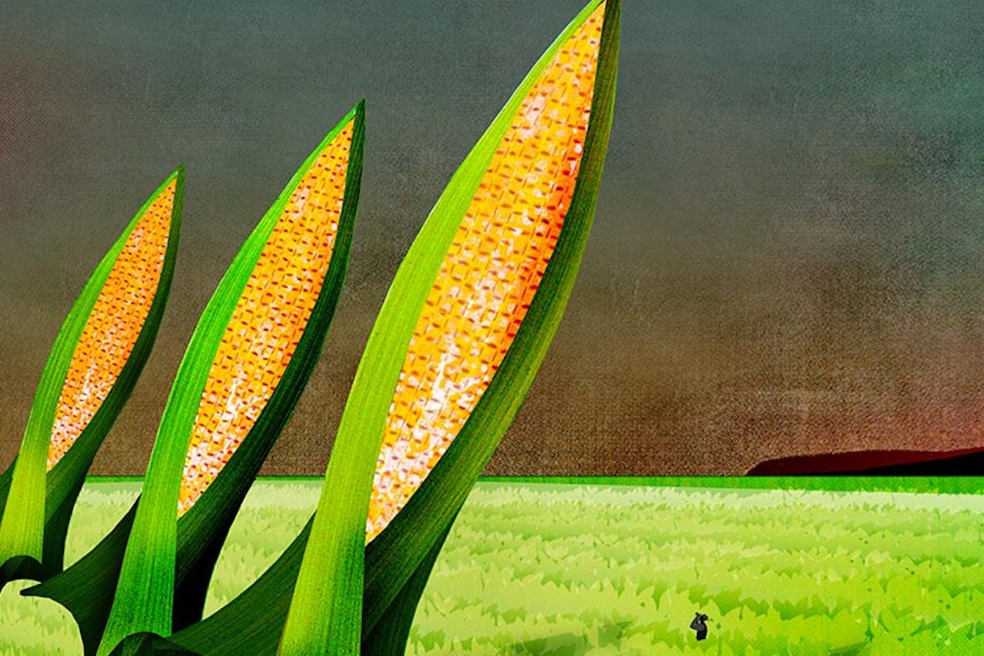 A Bizarre Day Rice Farmer