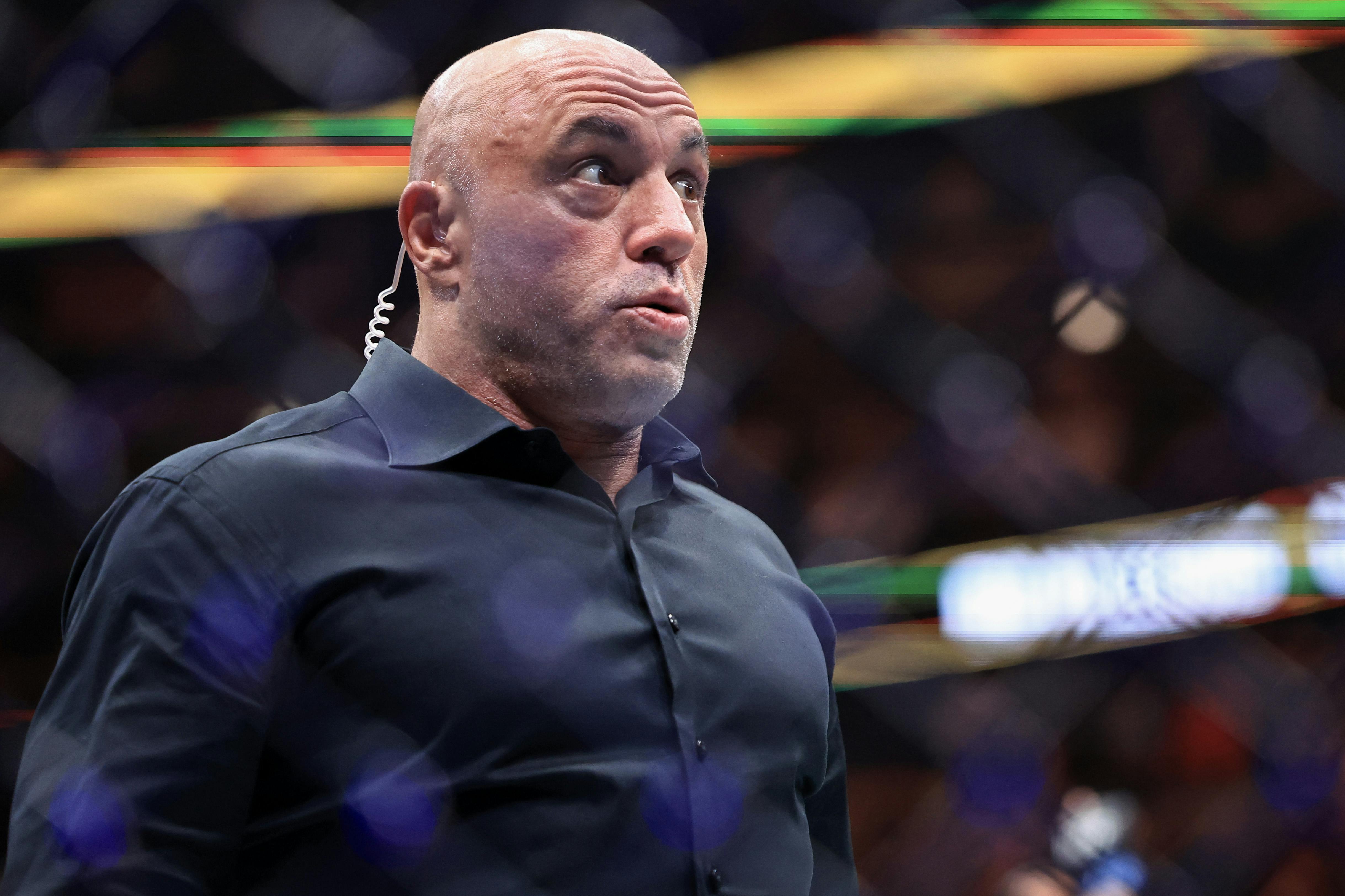 Joe Rogan raises eyebrows