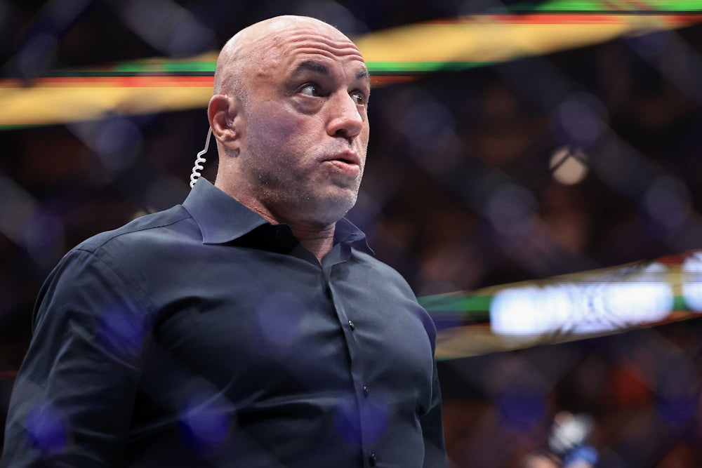 Joe Rogan raises eyebrows