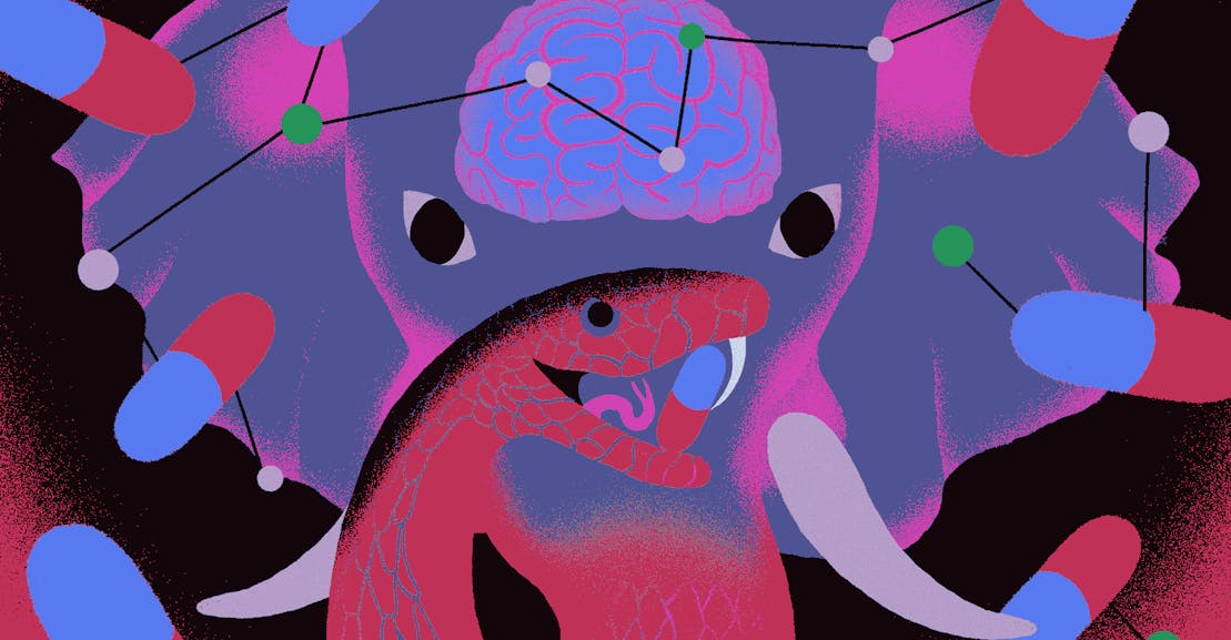 Thumbnail of Why the New Right Loves Nootropics