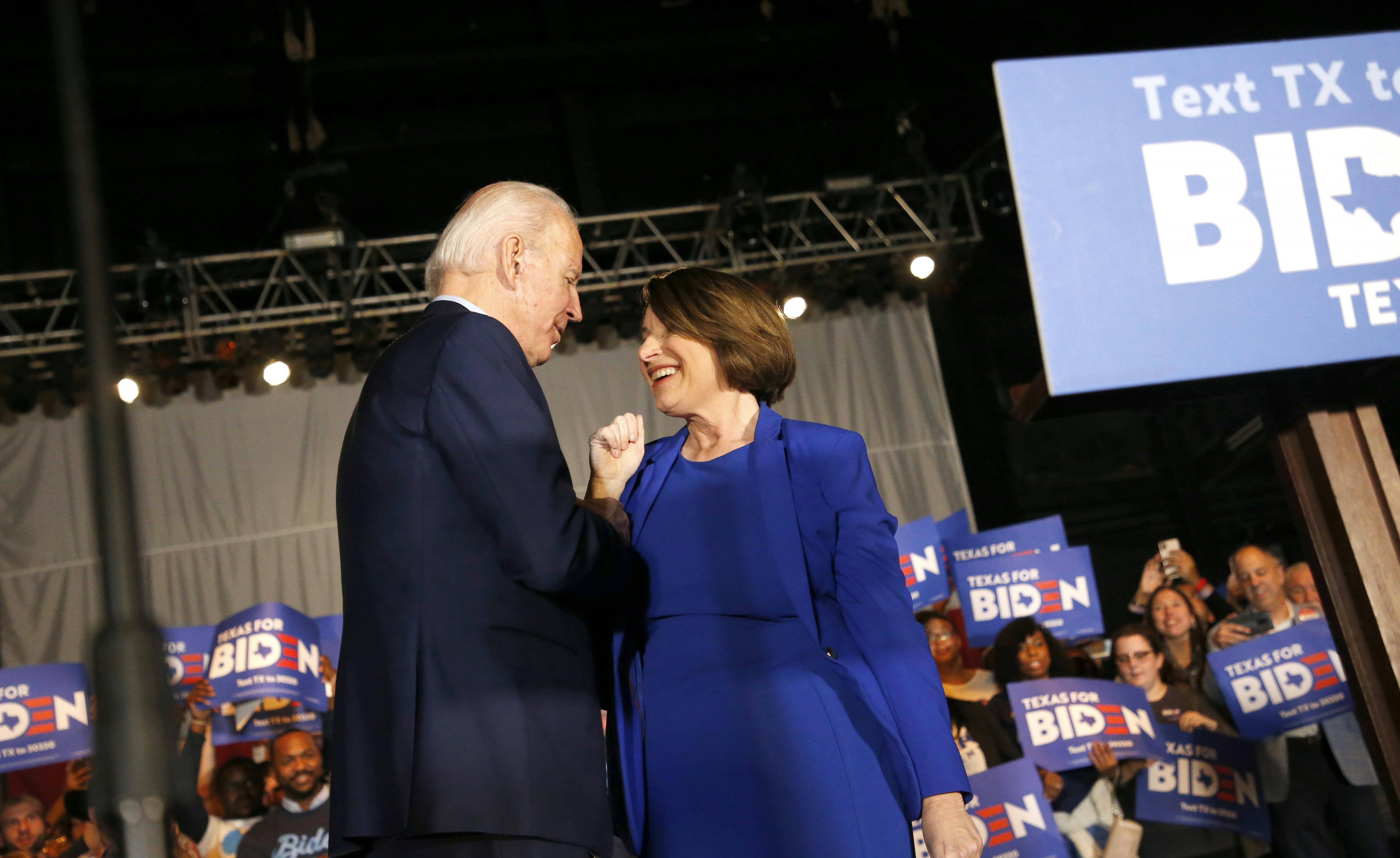 Gammel mand trække Thicken Who Will Be Joe Biden's Pick for Vice President? | The New Republic