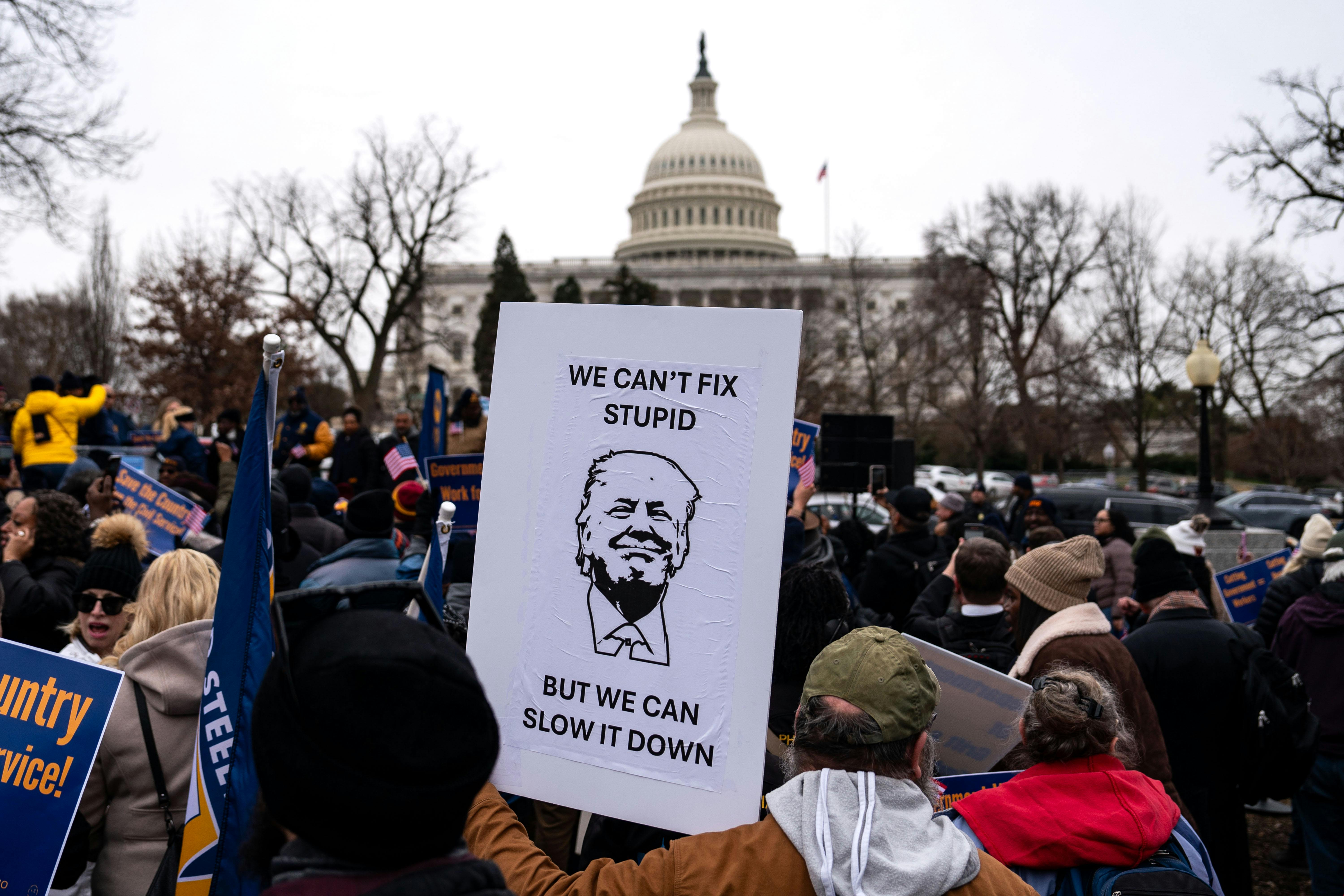 A demonstrator a "Save the Civil Service" rally in Washington, D.C., holds up a sign with an image of President Trump that reads "We can't fix stupid but we can slow it down."