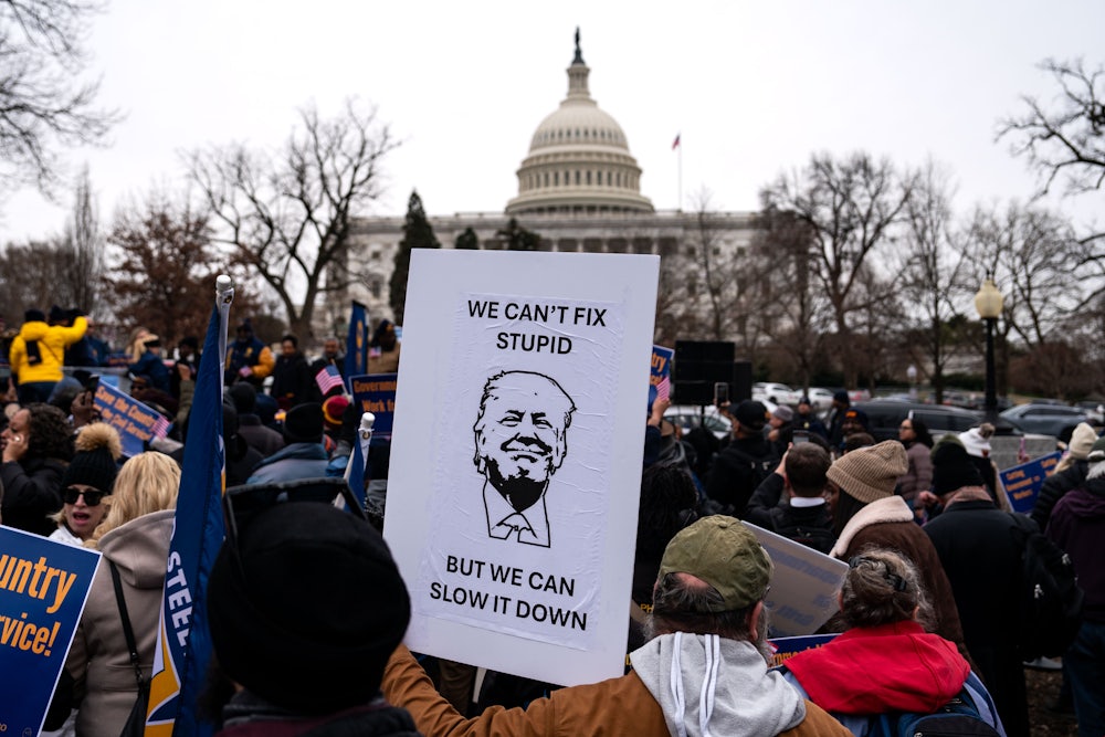 A demonstrator a "Save the Civil Service" rally in Washington, D.C., holds up a sign with an image of President Trump that reads "We can't fix stupid but we can slow it down."
