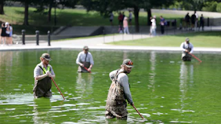 Four National Park Service employees work to clean up algae in the Lincoln Memorial Reflecting Pool