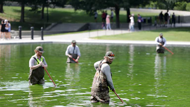 Four National Park Service employees work to clean up algae in the Lincoln Memorial Reflecting Pool