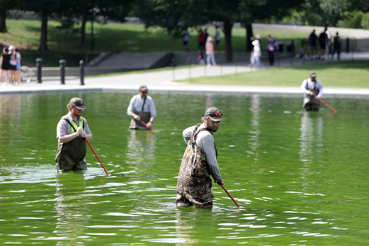 Reflecting Pool Disaster Keeps Growing After $14 Million Renovation