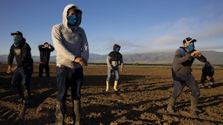 farm laborers preparing for harvest