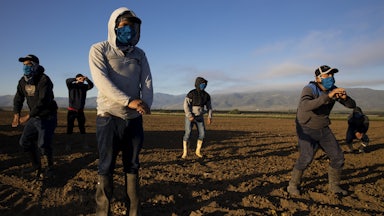 farm laborers preparing for harvest
