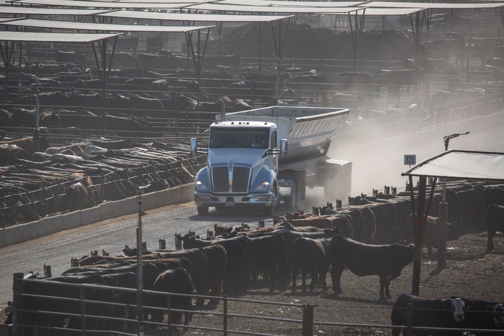 A truck drives down a road between cattle pens.