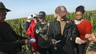 Teenagers hand around Band-Aids.