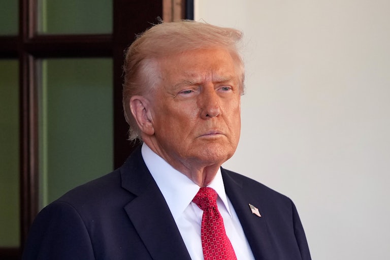 Donald Trump stands at the White House entrance