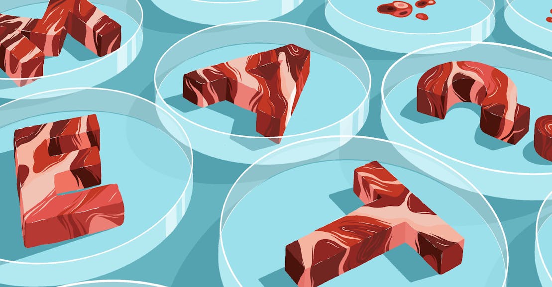 Inside the Battle Between Big Ag and Lab-Grown Meat Inside the Battle Between Big Ag and Lab-Grown Meat