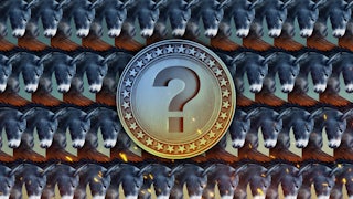 An illustration of a repeating pattern of donkey heads with a question mark medallion in the center.