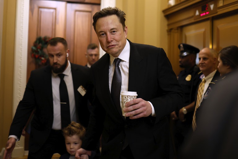 Elon Musk on Capitol Hill