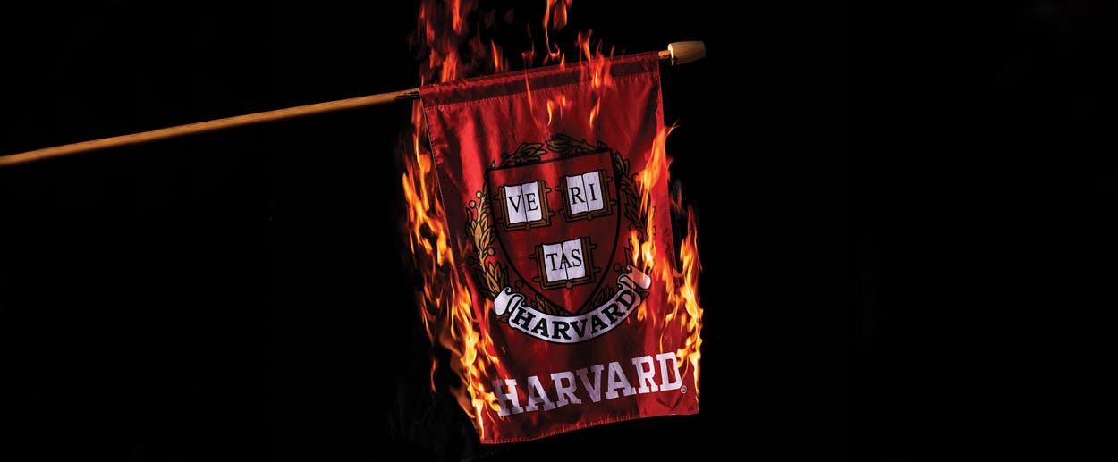 What Are The Ivy League Schools? Everything You Need To Know