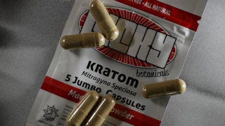 Capsules of the herbal supplement Kratom in Miami, Florida. The herbal supplement is a psychoactive drug derived from the leaves of the kratom plant and it’s been reported that people are using the supplement to get high and some states are banning the supplement.