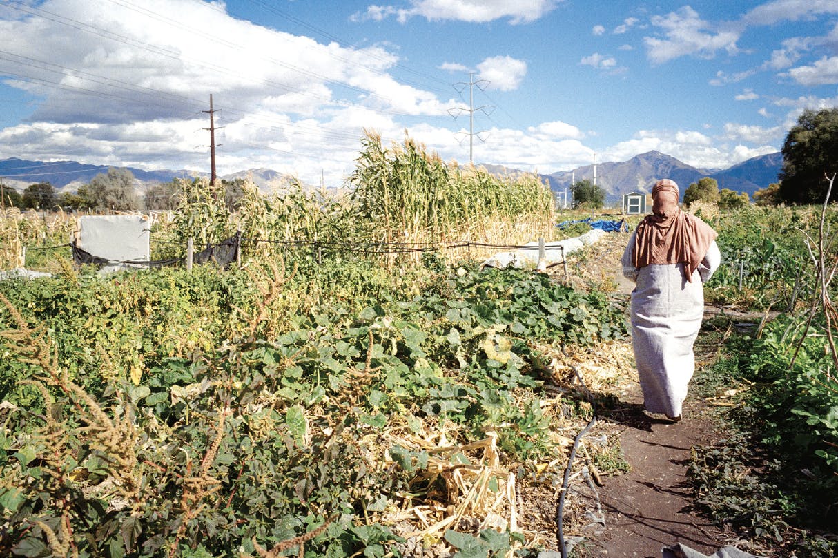 A photograph of Maryam walking through one of the International Rescue Committee’s community farms, where refugees can grow produce to sell at farmers markets the organization facilitates.