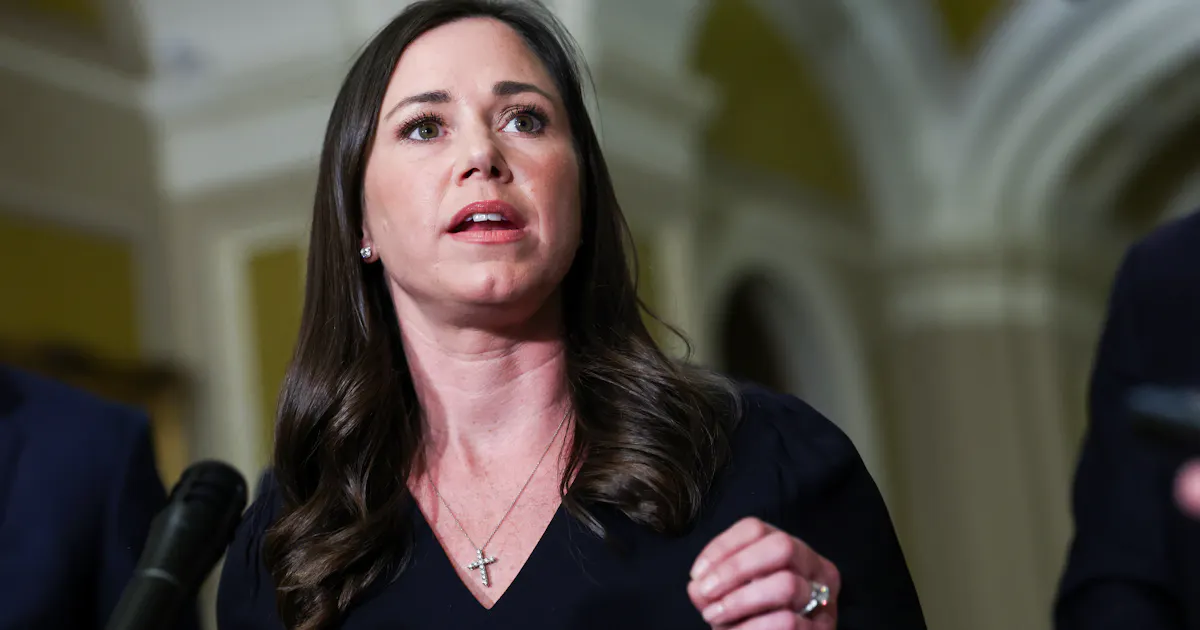 Republican Senator Claims You Can't Shovel Snow in NYC Without ID