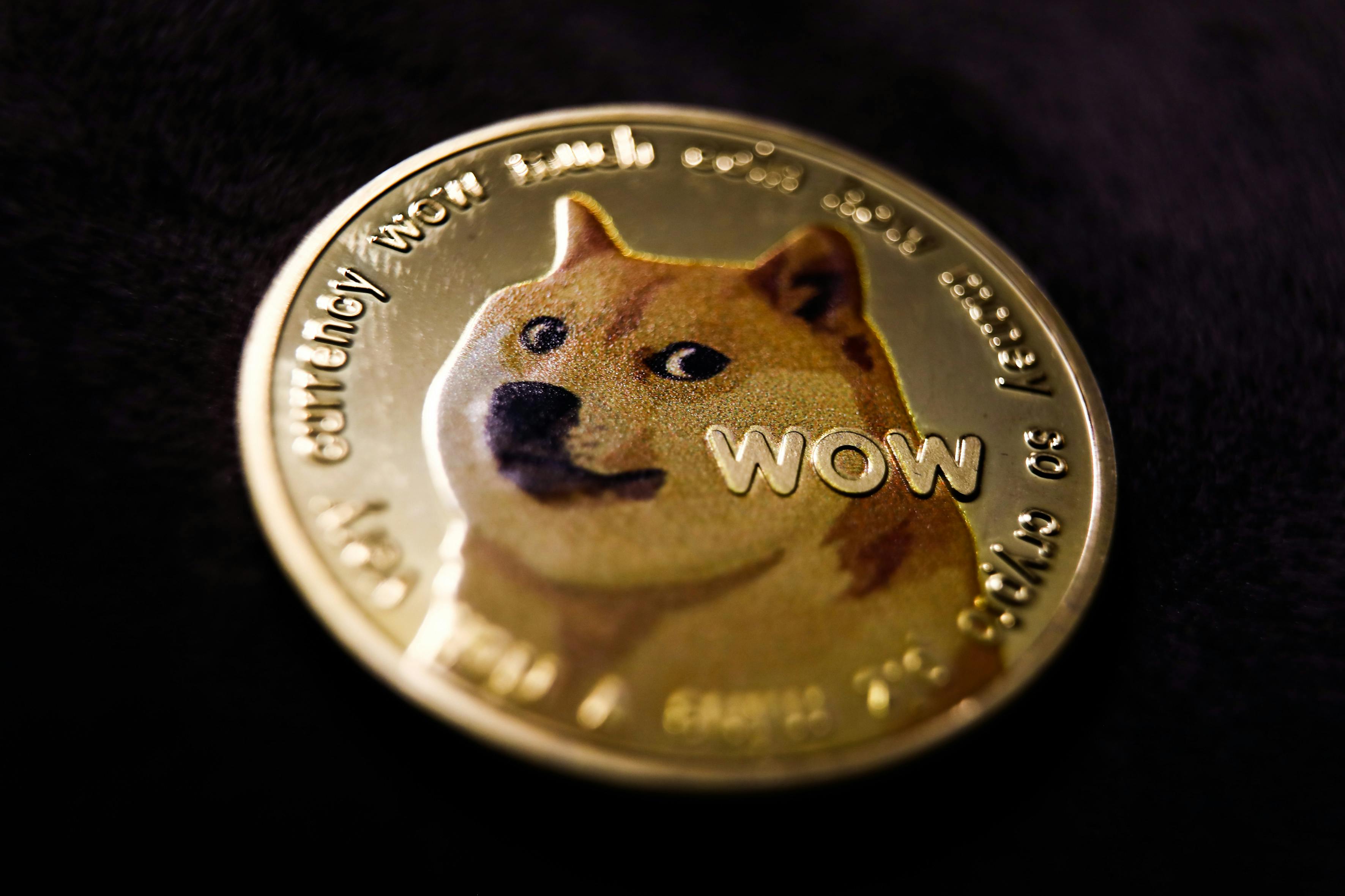 Representation of Dogecoin cryptocurrency is seen in this illustration photo taken in Krakow, Poland.
