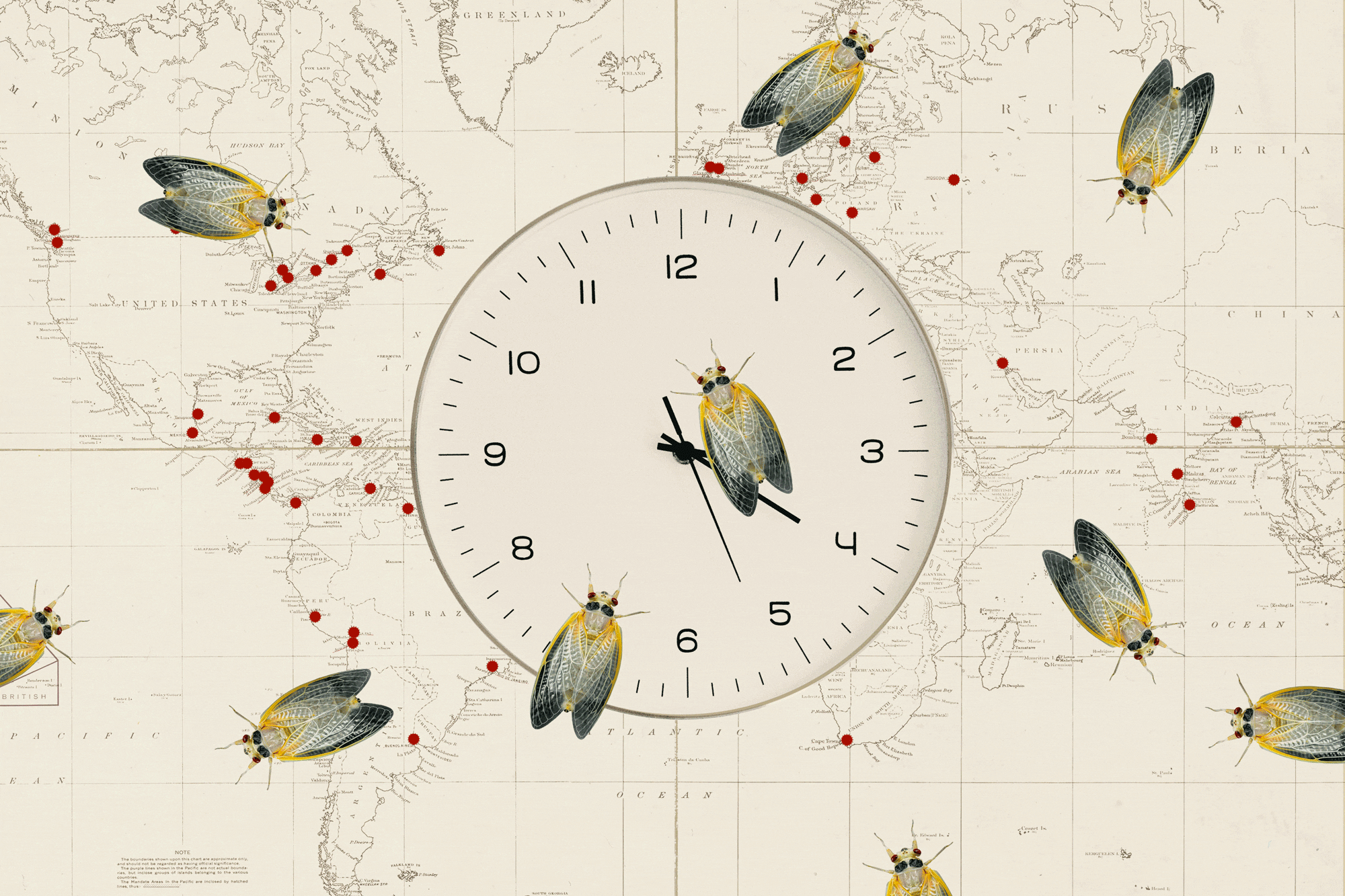Animated cicadas on a clock overlaying a world map
