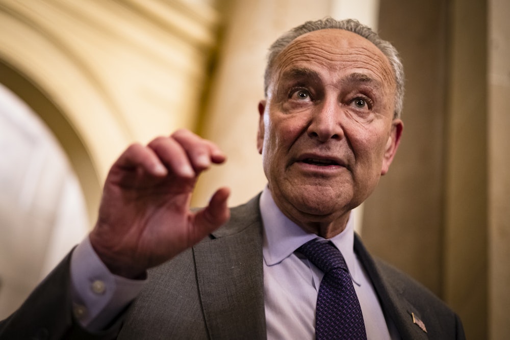 Senator Chuck Schumer gesticulates while talking.