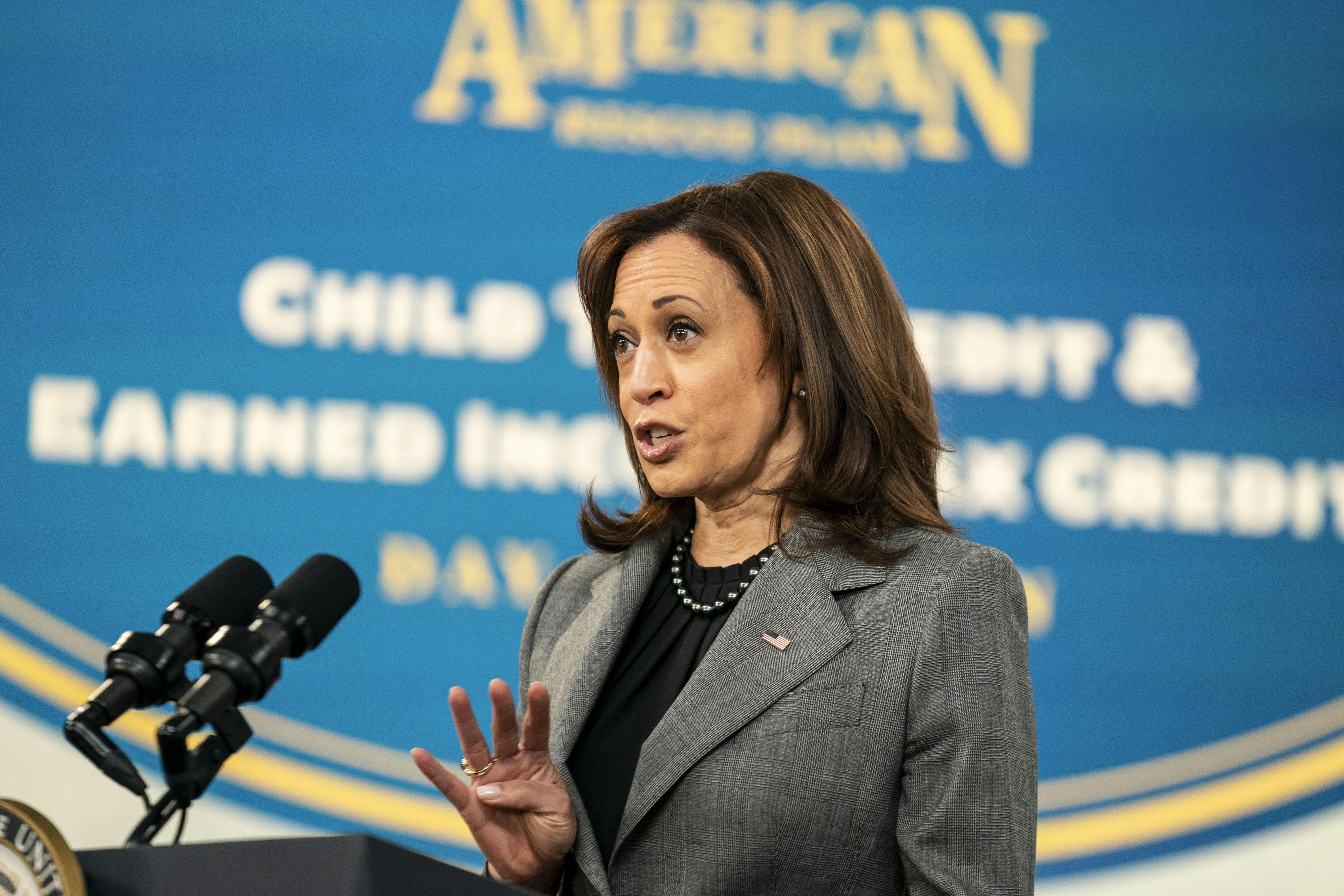 Vice President Kamala Harris delivers remarks on the Child Tax Credit  in Washington, D.C. 