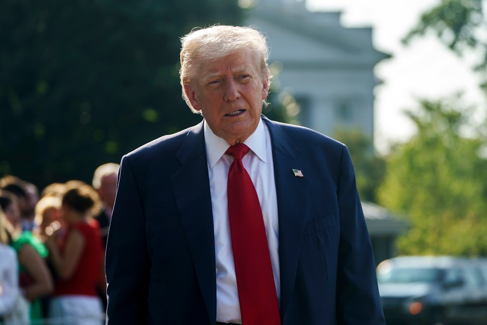 Donald Trump glowers in front of the White House