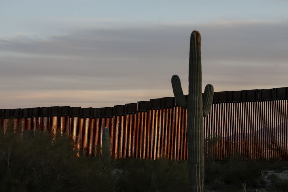 border wall in Arizona