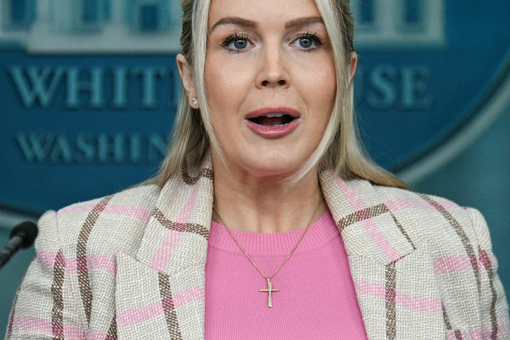 Karoline Leavitt speaks while looking irritated