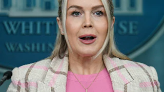 Karoline Leavitt speaks while looking irritated