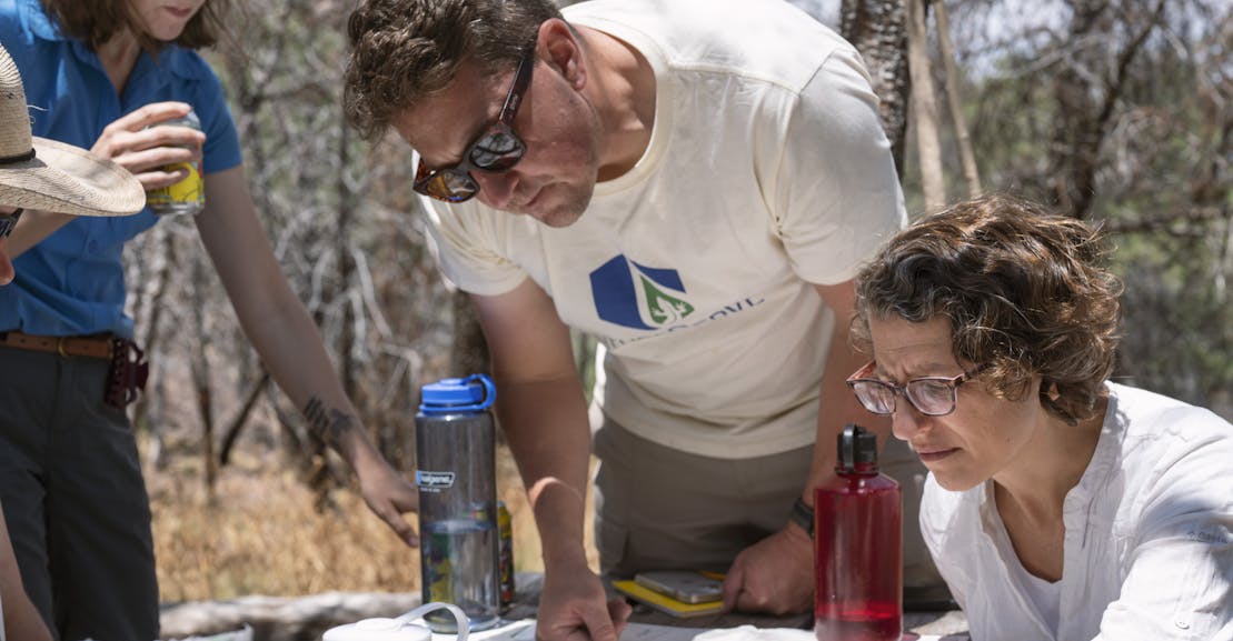 Identified: Just one Oak Tree, Famously Missing