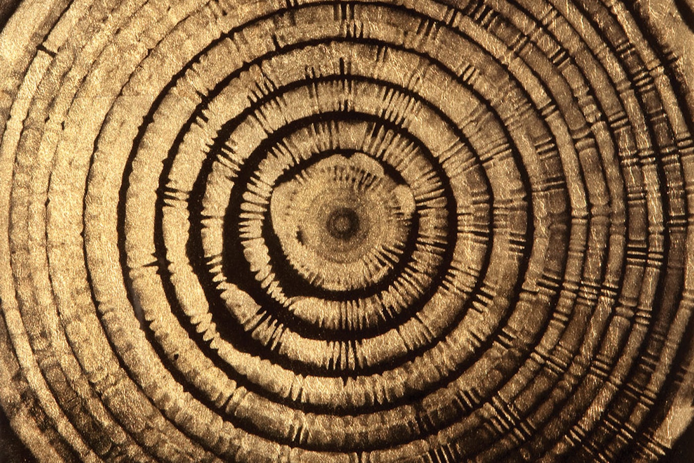 Is The Hum A Scientific Fact Or A Mass Delusion The New Republic