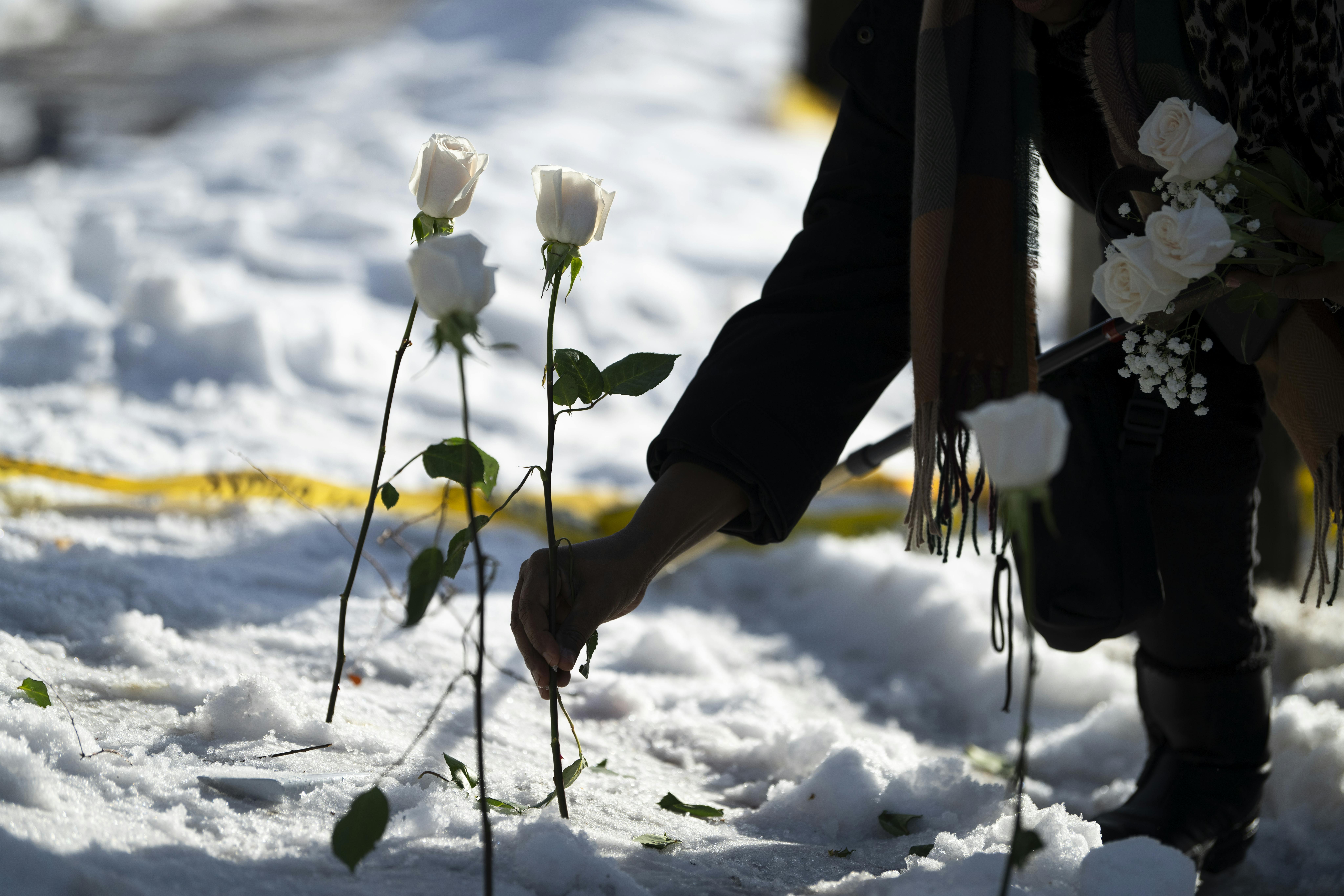 A person puts a white rose in the snow where a person was shot dead by an ICE agent in Minneapolis, Minnesota