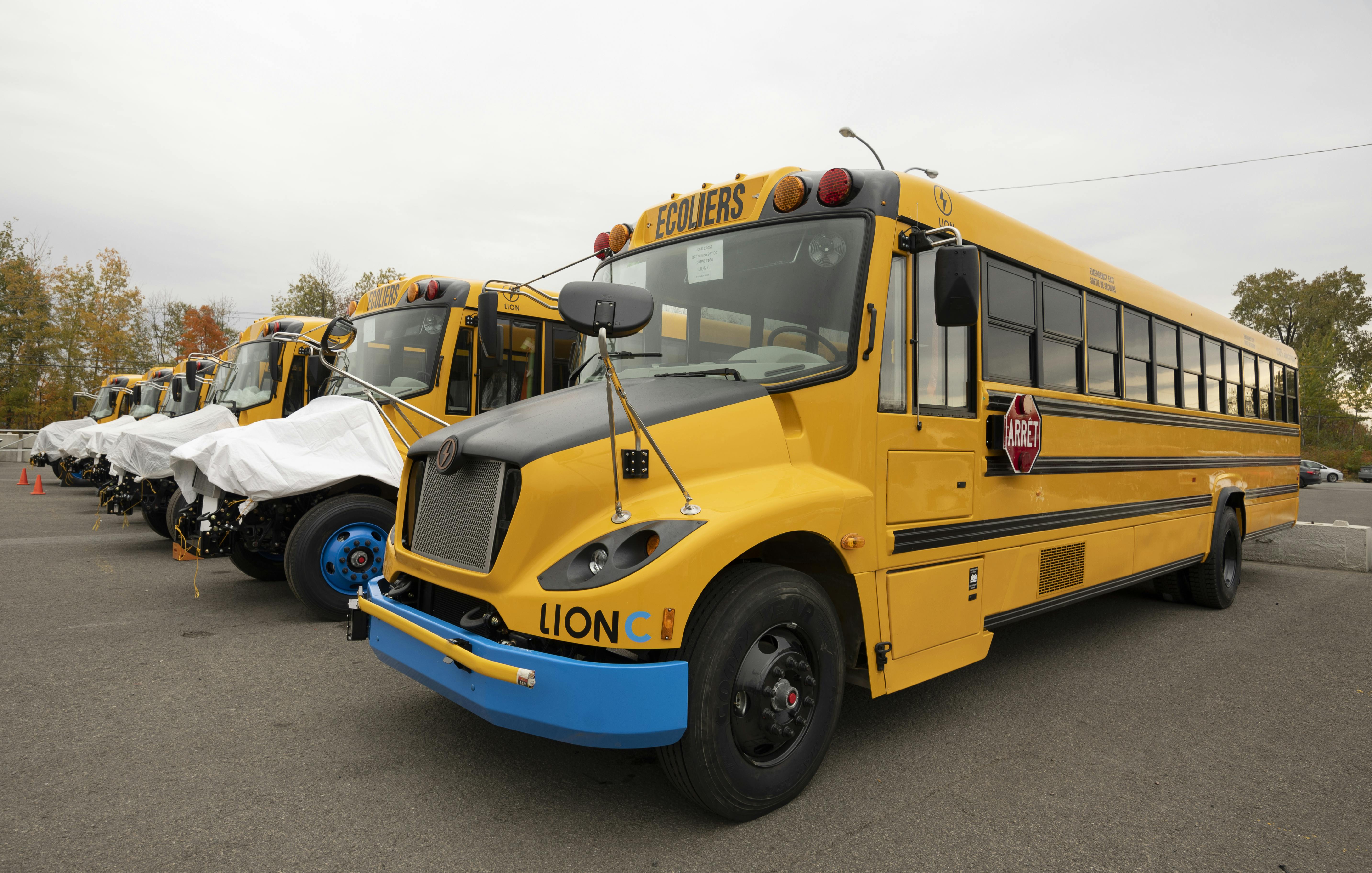 Bus Reaping Sex Videos - School Districts Across the Country Are Getting Electric Buses | The New  Republic