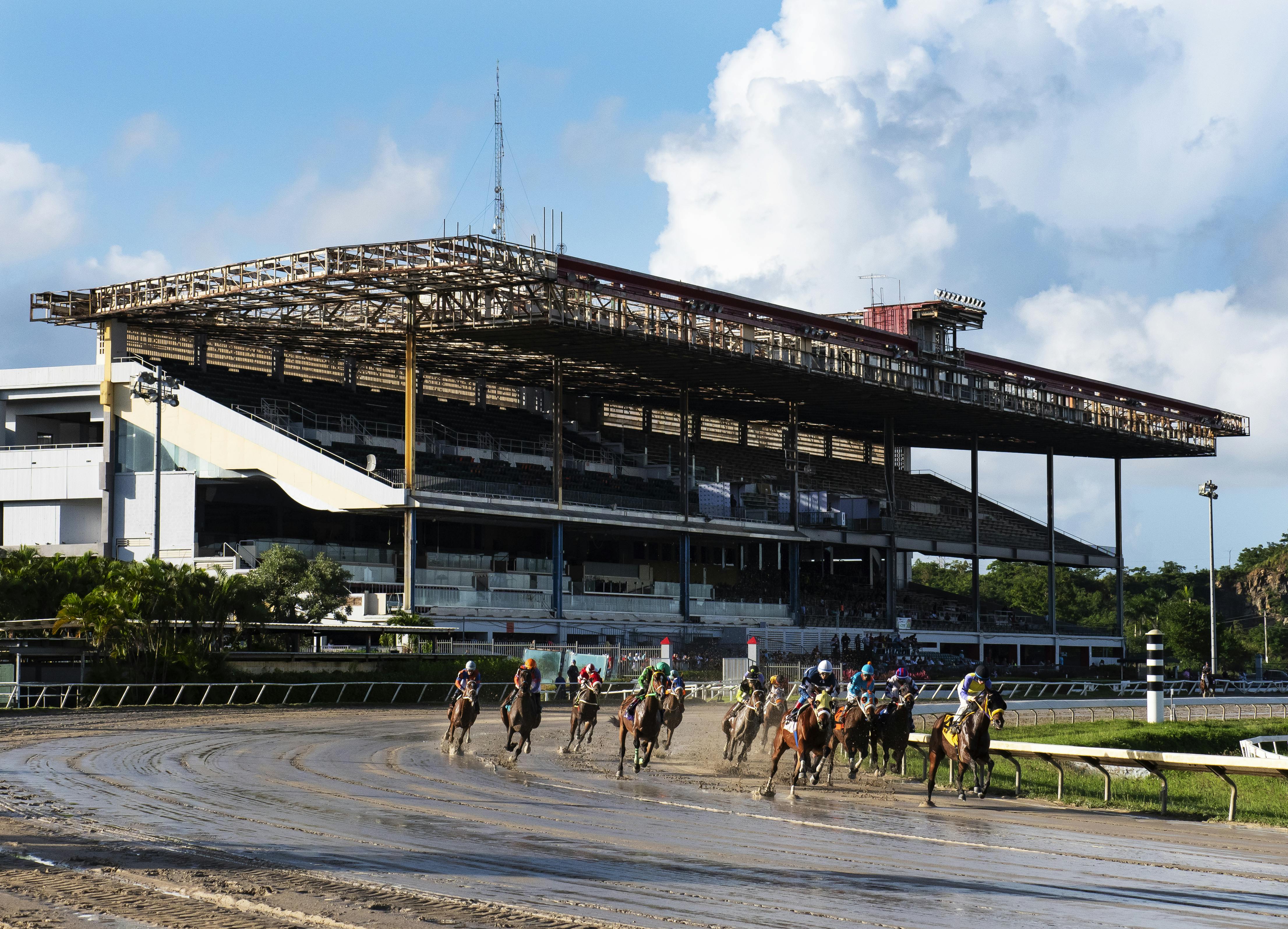 Jockeys race at the Hipódromo Camarero in Canóvanas, Puerto Rico, the island's only racetrack. 