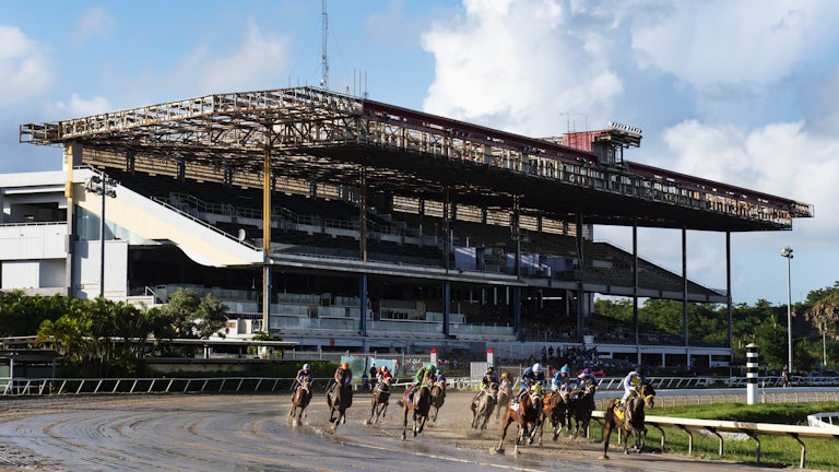 Jockeys race at the Hipódromo Camarero in Canóvanas, Puerto Rico, the island's only racetrack. 