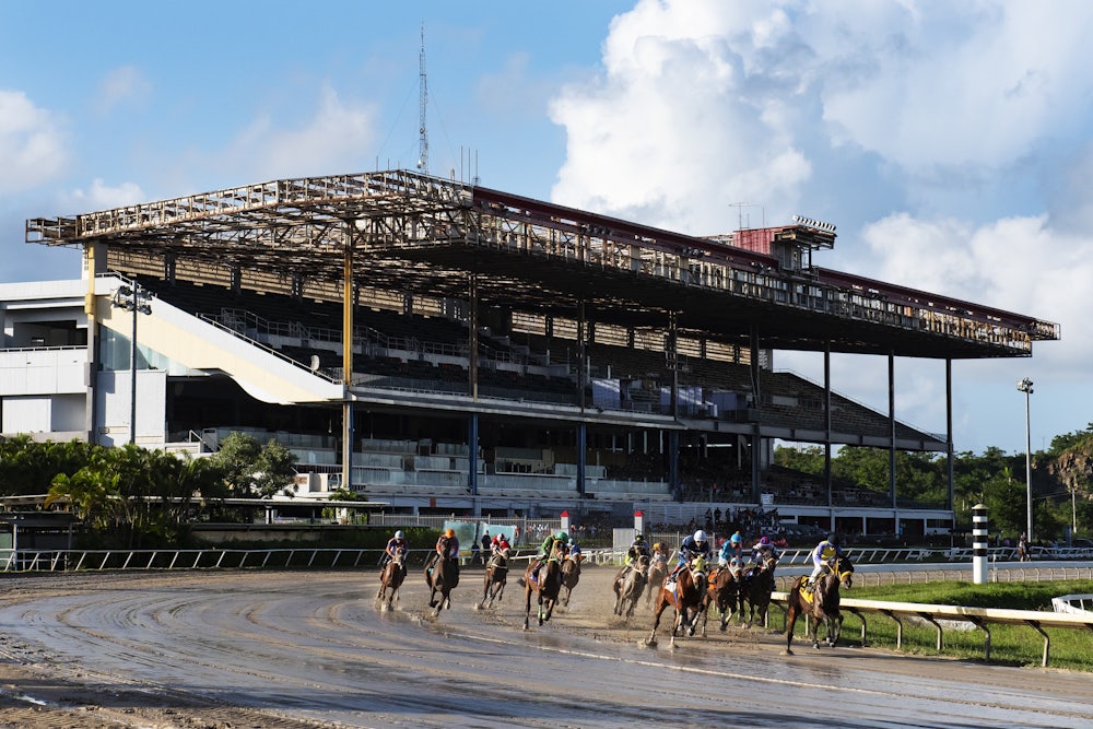Jockeys race at the Hipódromo Camarero in Canóvanas, Puerto Rico, the island's only racetrack.