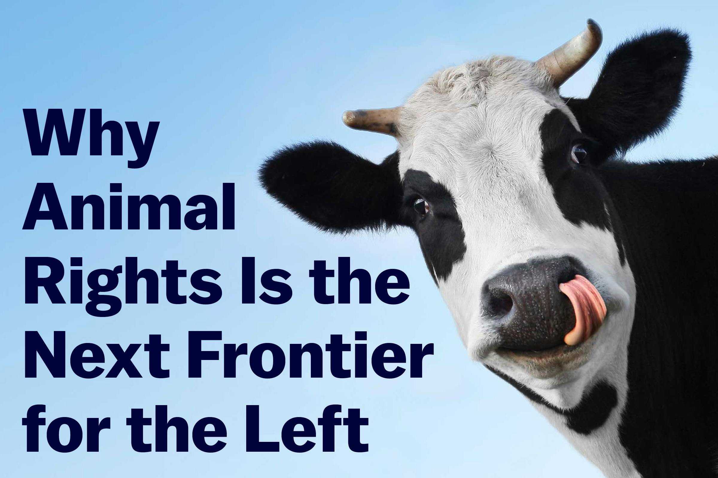 Why Animal Rights Is the Next Frontier for the Left | The New Republic