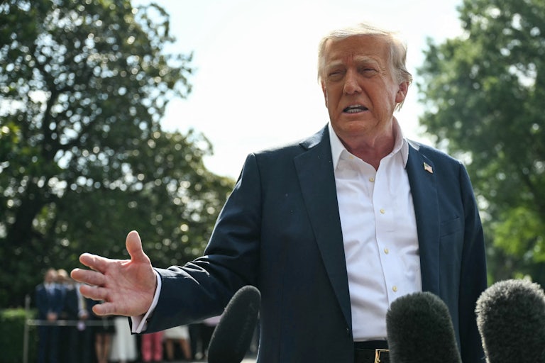 Donald Trump speaks to reporters on the White House lawn.