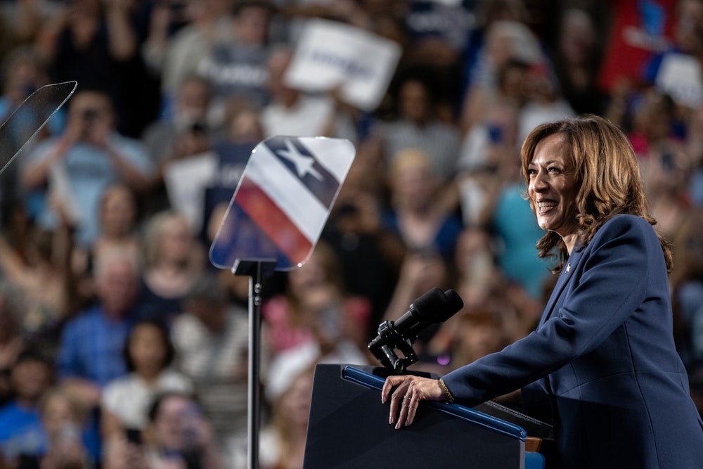 Harris stands smiling in profile at a podium with supporters in the background.