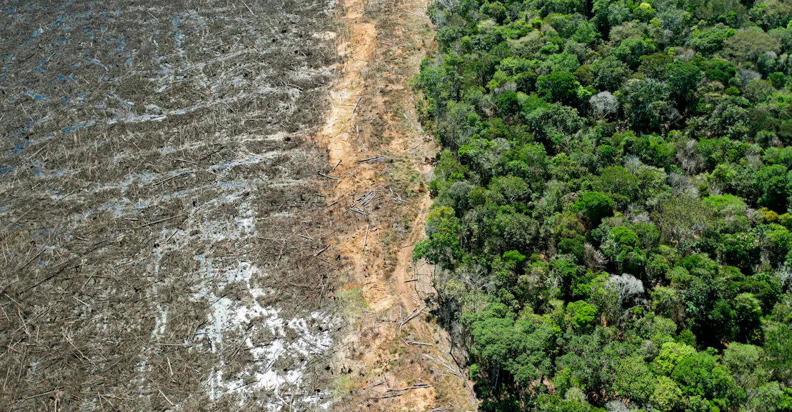 Carbon Markets Are Terrible—But We Need Them Carbon Markets Are Terrible—But We Need Them