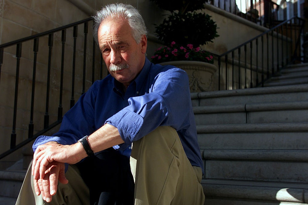 German writer W.G. Sebald