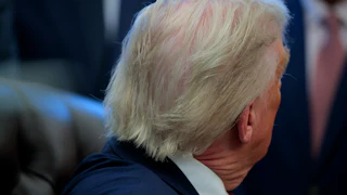 The back of Donald Trump's head as he sits at his desk in the Oval Office