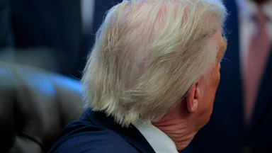 The back of Donald Trump's head as he sits at his desk in the Oval Office
