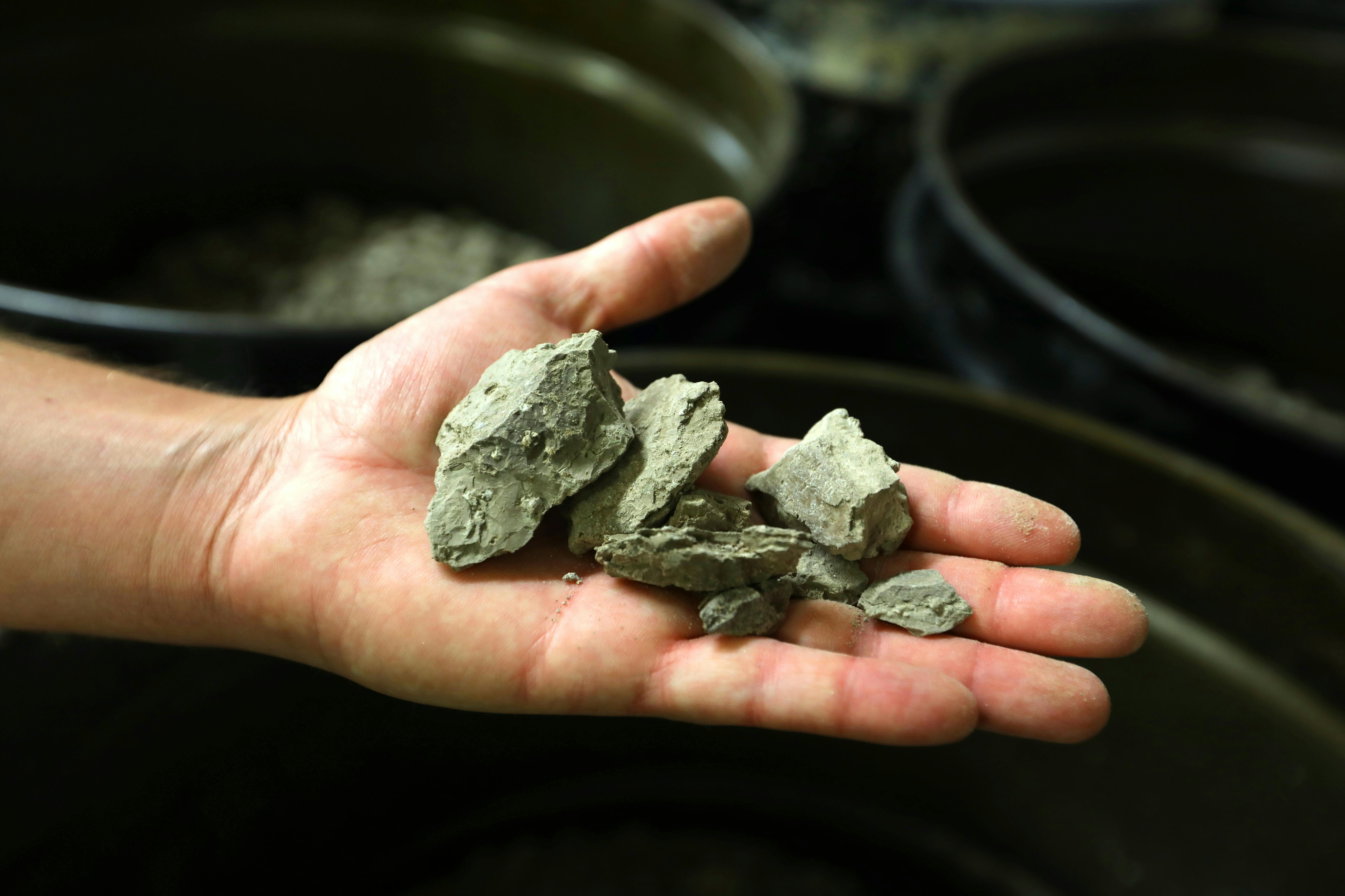 An open hand holds pieces of lithium-rich clay.