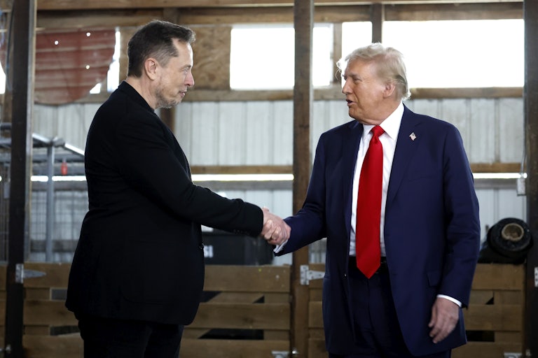 Elon Musk shakes Donald Trump's hand