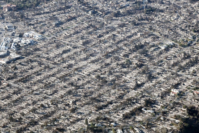Block after block of homes lie in ashes from the Palisades fire.