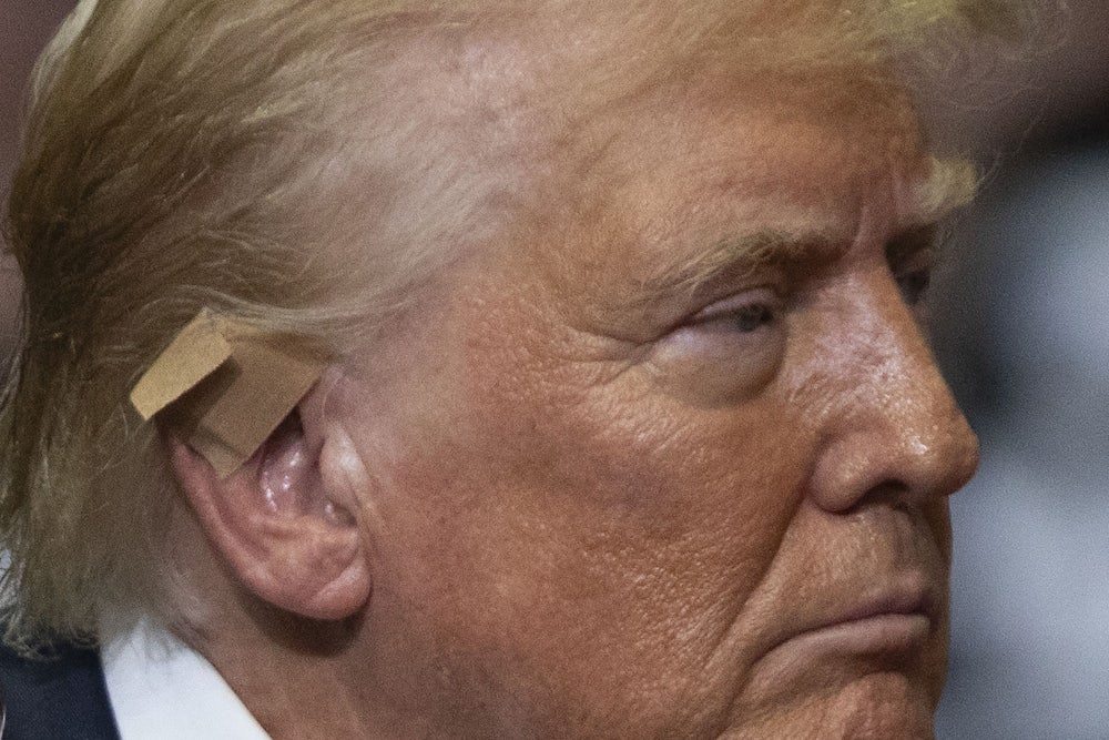 Close-up of Donald Trump in profile