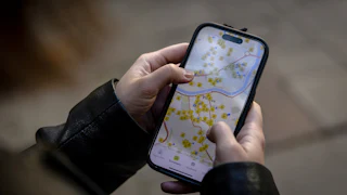 Someone looks at a map on their phone