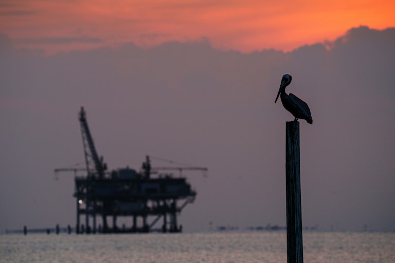 A pelican sits atop a briccole with an oil rig in the distance
